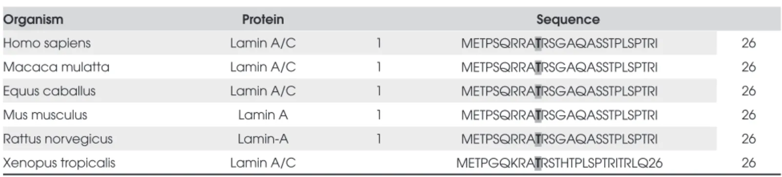 Table 1.  Amino acid sequence alignment for lamin A/C from various species. The residue affected by the mutation described  (LMNA T10I) is shown in bold.