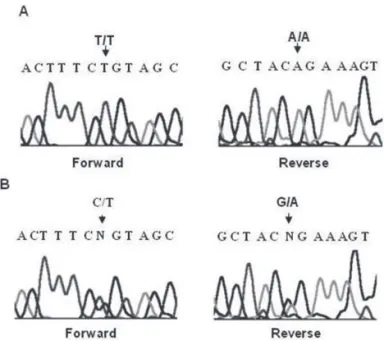 Figure 1.  HSD11B2  gene sequencing electropherograms  showing part of exon 3. The CGT > TGT nucleotide change is  denoted