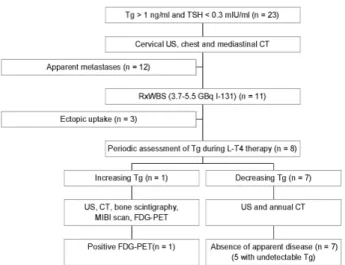 Table 1. TNM classification (8) of the patients studied.