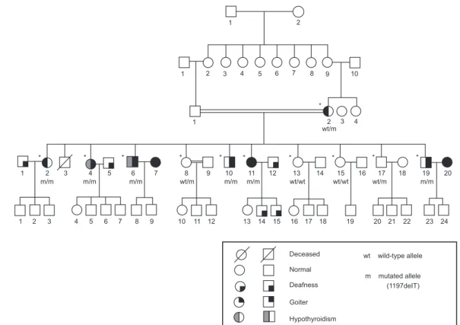 Figure 1.  Pedigree of the family with Pendred syndrome caused by a 1197delT in the SLC26A4 gene