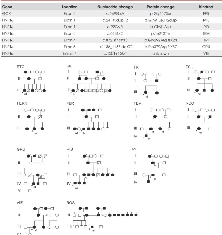 Table 1.  Allelic variations in MODY genes.