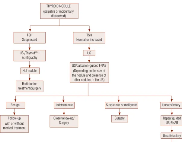 Figure 1. Algorithm for diagnosis and management of palpable and incidentally discovered thyroid nodules.