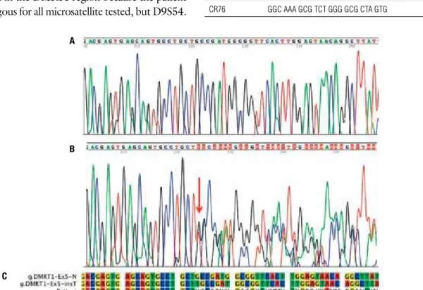 Figure 1. Eletropherograms showing the end of exon 5 and part of 3’UTR of  DMRT1  gene