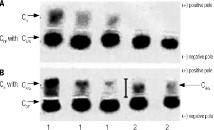 Figure 1. Fragments of two electrophoreses in agar gel of pH 6.5 (A) and  pH 5.3 (B). Representative migration of CHE2 C5+  (lines 1) and of CHE2  C5- (lines 2).