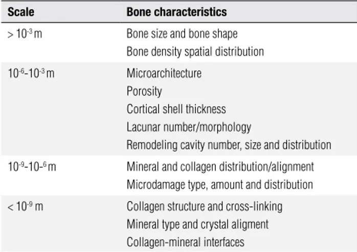 Table 1. Factors that determine bone quality categorized by physical scale 