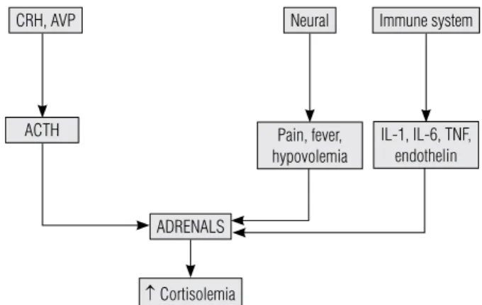 Figure 1. Adrenal stimulation in the critically ill patient.  