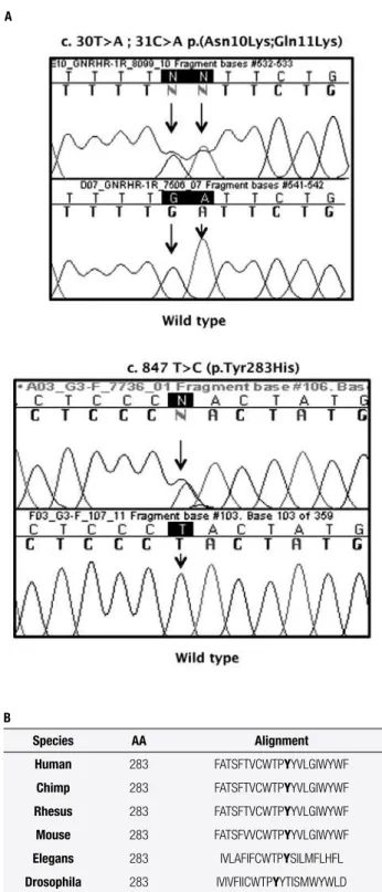 Figure 1. A. Automatic DNA sequencing of the GNRHR gene, showing the  heterozygous mutations (p.[Asn10Lys;Gln11Lys] and p.Tyr283His)  identiied in the male proband with nIHH; B