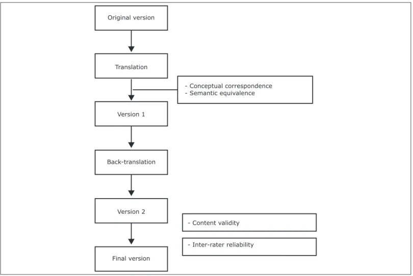 Figure 1 - Translation and adaptation process