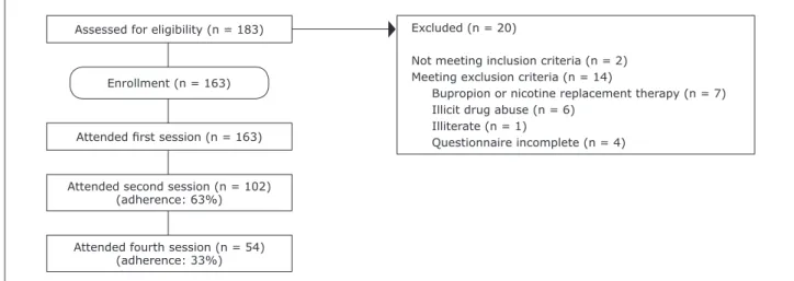 Figure 1 – Flowchart describing the selection of smokers and showing dropout rates in different sessions of the smoking cessation support group