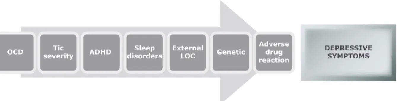 Figure 3 - Schematic illustration of the etiology of depression in Tourette’s syndrome (TS)