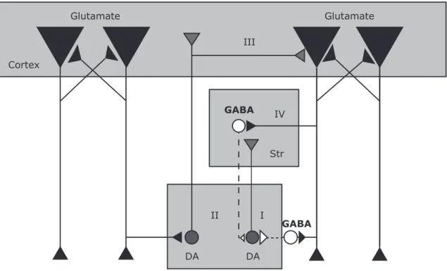 Figure 2 - Microcircuits associated with signal-to-noise ratio and semantic processing
