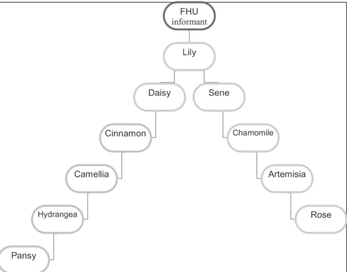 Figure 1 – Relationship network comprised of the study participants 