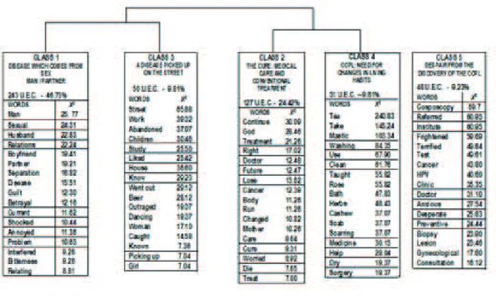 Figure 1 - Dendrogram of descending hierarchical classiication effected by the Alceste Program  Software 