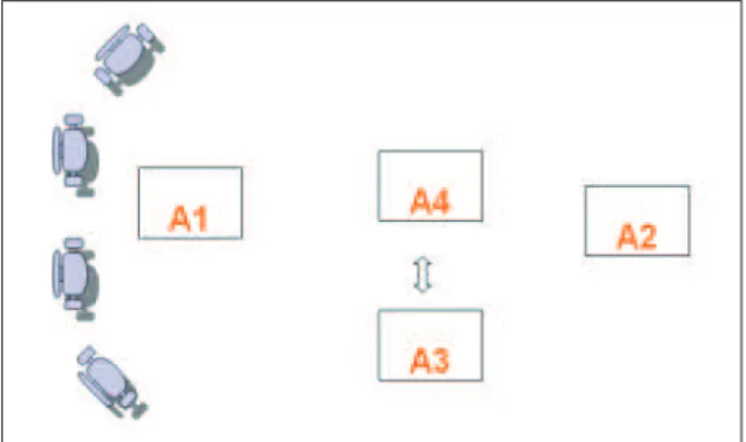 Figure 5 - The coexistence of the asylum and  substitutionary models in mental health 