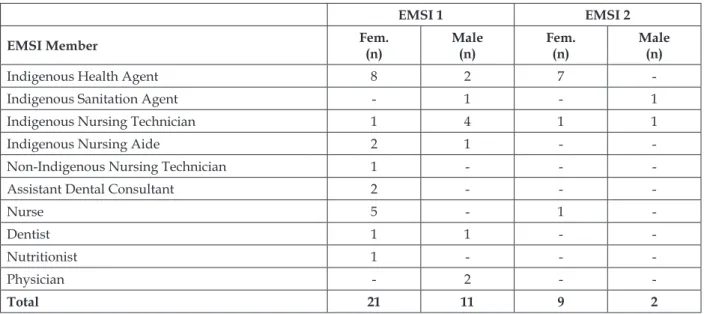 Table 1 – Composition of the Multidisciplinary Indigenous Primary Health Care Teams (EMSIs)