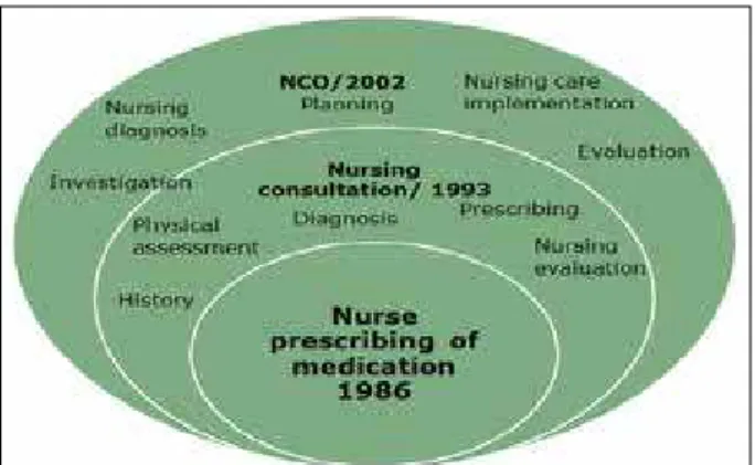 Figure 1 - Nurse prescribing of medication in the  context of the nurse’s work process