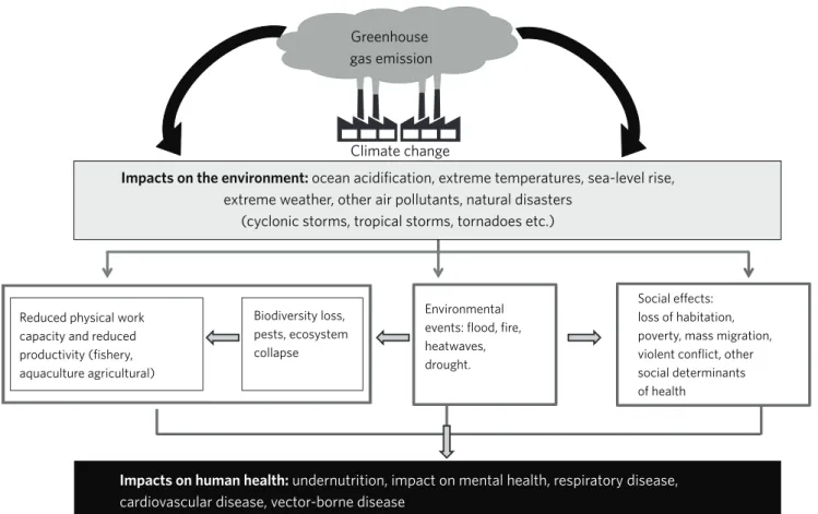 Figure 1. Impact of greenhouse gases on the environment and on human health