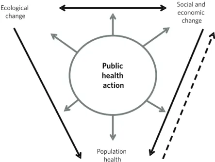Figure 2. An ecosocial framework for public health action