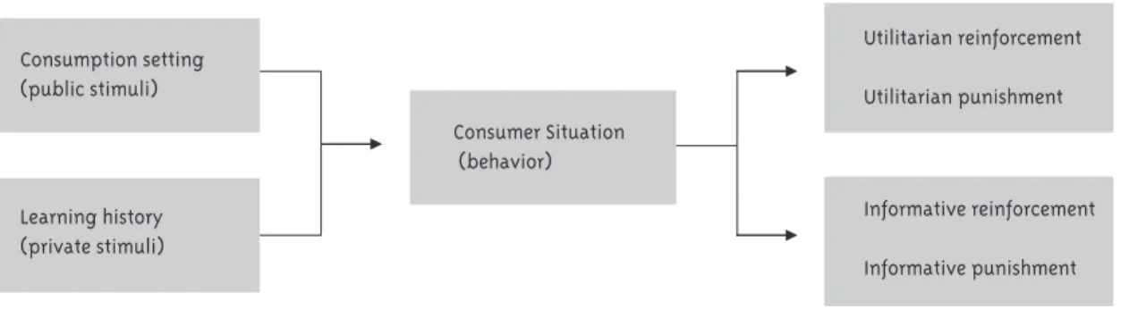 Figure 1 - Flowchart representing BPM (Behavioral Perspective Model)