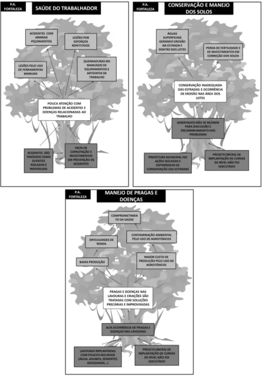 Diagram 5 - PA Fortaleza - problem trees: health of the workers, soil conservation and management, and pest  and disease control