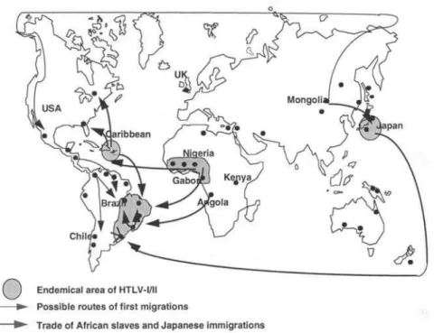 Figure 1 - P o ssib le ro u te s o f H T L V -I/II to B ra sil