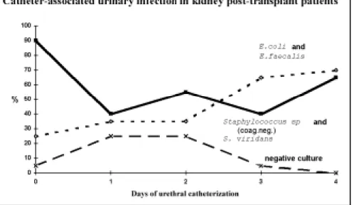 Table 2 presents the microorganisms found in the urethral meatus and the percentage of patients in whom they were found before catheterization on the 1 st , 2 nd , 3 rd  and 4 th   day of catheterization.