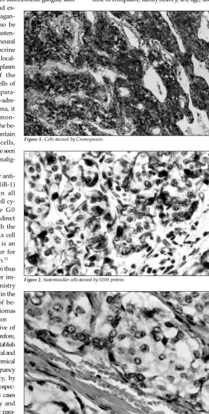 Figure 1. Cells stained by Cromogranin.