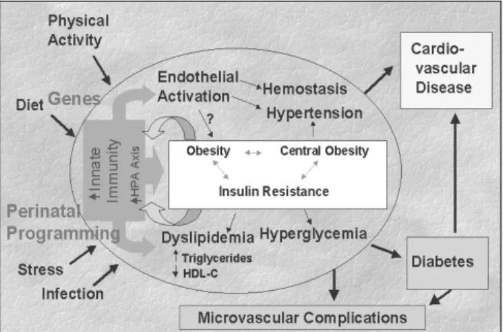 Figure 6 summarizes the systemic actions of relevant cytokines that could contribute to the pathogenesis of the metabolic syndrome,  diabe-tes, and the common causality of diabetes and CHD