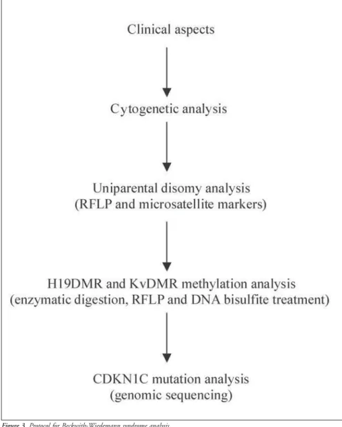 Figure 3. Protocol for Beckwith-Wiedemann syndrome analysis.