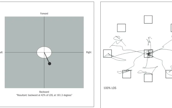 Figure 3. Example of the 100% limits of stability test.