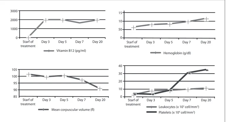 Figure 2. Evolution of hematological parameters after start of treatment with vitamin B12.