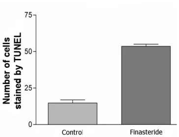 Figure 2 - Results of apoptosis in the control group versus finasteride group.