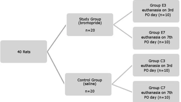 Figure 1Figure 1Figure 1Figure 1