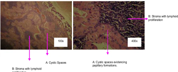 Figure 1Figure 1Figure 1Figure 1
