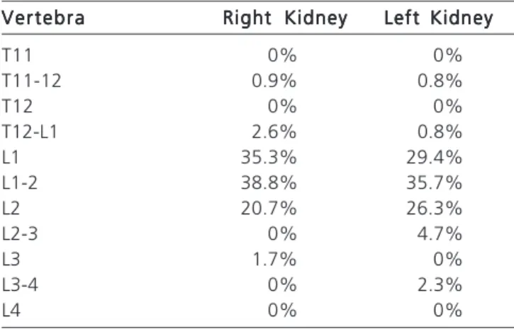 Tabela 3 - Distribution of renal arteries originating from aorta as for laterality and origin position in relation to vertebrae.