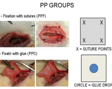 Figure 1Figure 1Figure 1