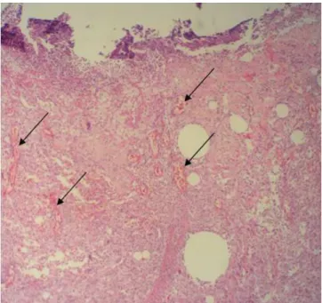 Figure 7 -Figure 7 Figure 7 Figure 7 