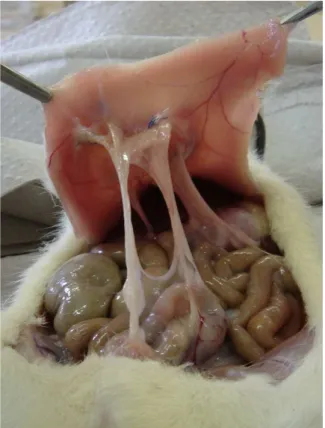 Figure 3 --Figure 3 -Figure 3 Figure 3 