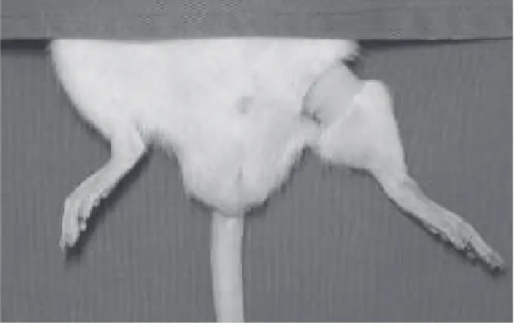 Figure 1Figure 1Figure 1