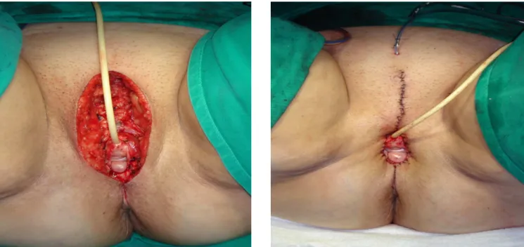 Figure 2 --Figure 2 -Figure 2 Figure 2 