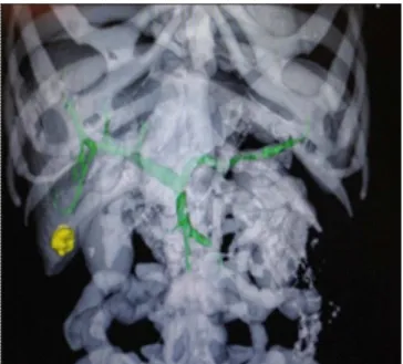 Figure 4 --Figure 4 -Figure 4 