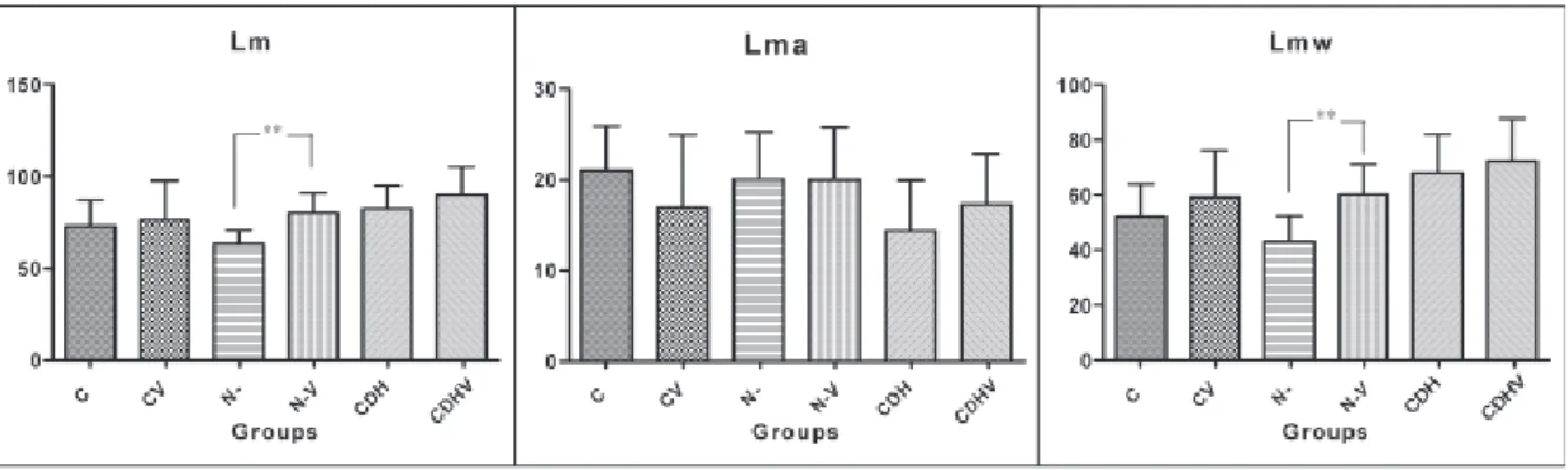 Figure 3 shows lungs from several groups, where we can observe the different degrees of lung development.