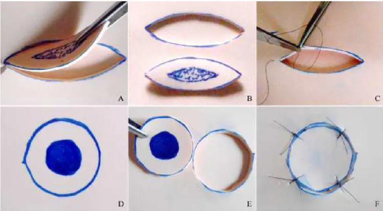 Figure 4 -Figure 4 Figure 4 Figure 4 