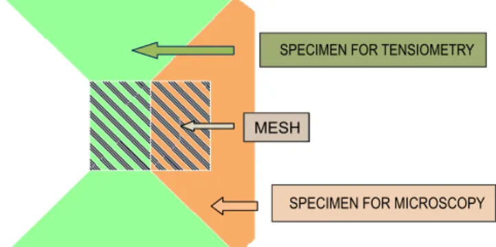 Figure 3 Figure 3 Figure 3 Figure 3 