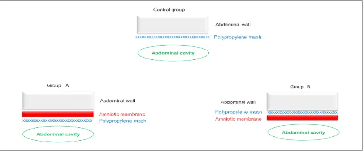 Figure 1 -Figure 1 Figure 1 Figure 1 