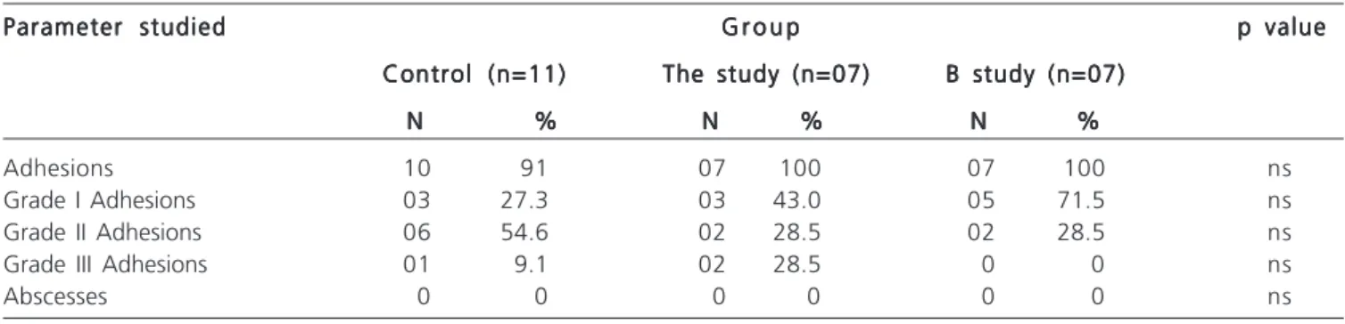 Figure 2 - Figure 2 - Wistar rats with mild angiogenesis activity, moderate or severe scarring in the region of abdominal wall defects corrected with polypropylene mesh use (Control) associated with amniotic membrane in the prosthesis surface region (A) or