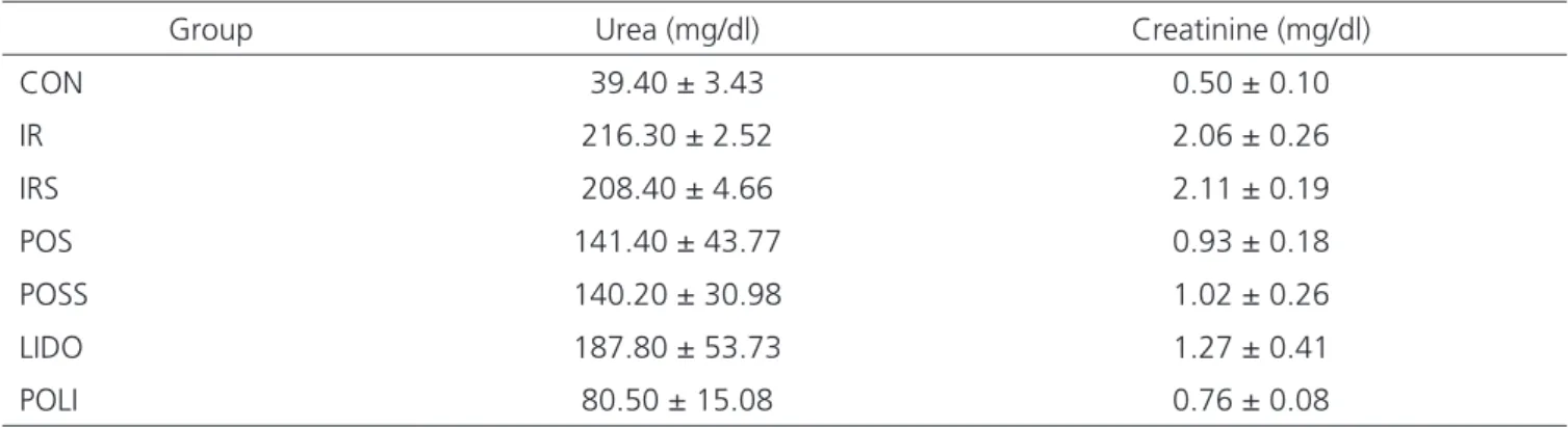 Table 2 shows the results of the histopathological  analysis. We identified a lesser degree of glomerular 