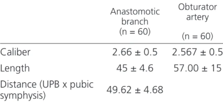 Table 3. Morphometric data of the obturator artery and its anastomotic  branch. Anastomotic  branch   (n = 60)  Obturator artery  (n = 60) Caliber 2.66 ± 0.5 2.567 ± 0.5 Length 45 ± 4.6 57.00 ± 15
