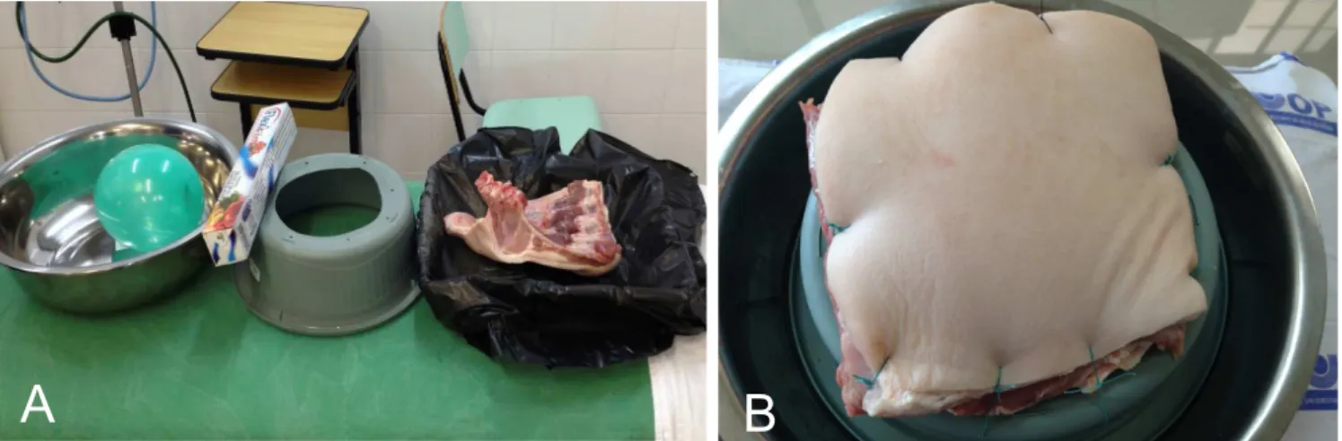 Figure 1 -Figure 1 Figure 1 Figure 1 