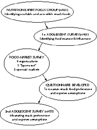 Figure 1 -  Study procedures.